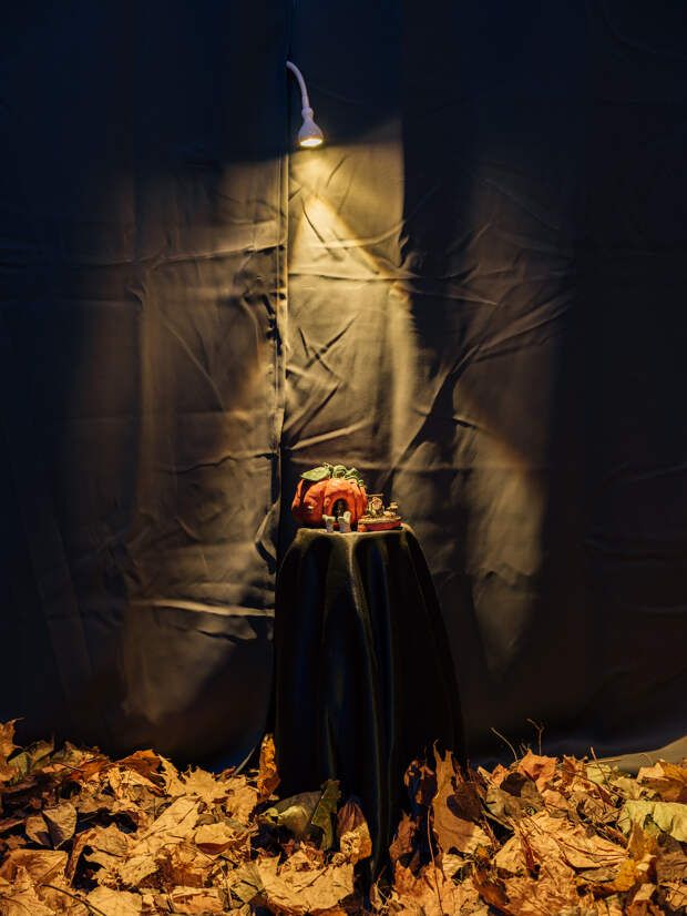 В подсобке во дворах Невского проходит «Тайная выставка». Там можно увидеть керамический мох и пошуршать сухими листьями
