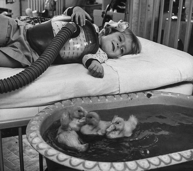 9. Уточки в качестве медицинской терапии, 1956 г. архивные фотографии, лучшие фото, ретрофото, черно-белые снимки