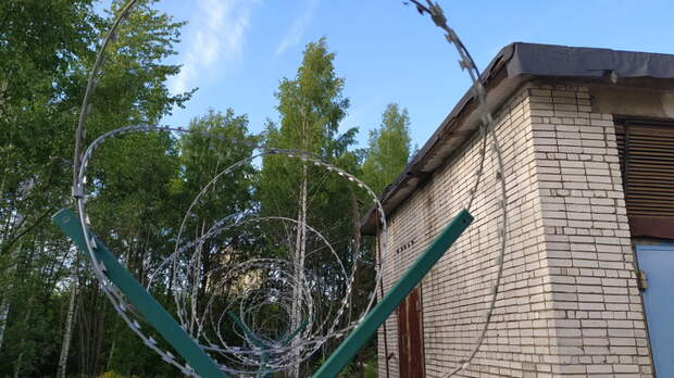 Незамедлительно: Посольство Китая требует расследовать инцидент на границе России и Казахстана