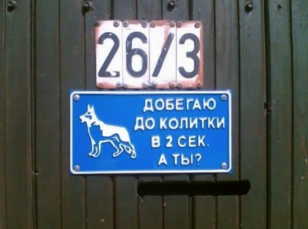 Таблички от хозяев с прекрасным чувством юмора животные, таблички, чувство юмора