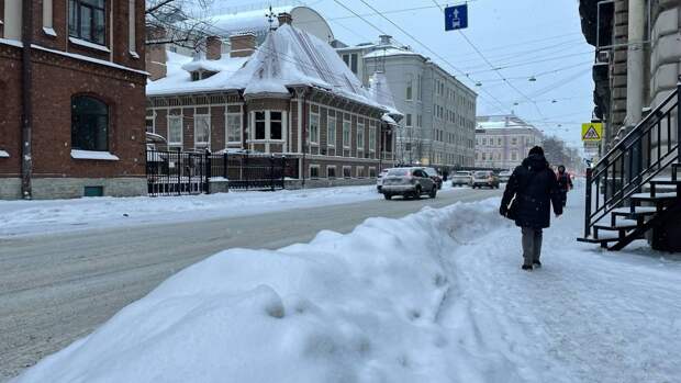 Аналитик Соловейчик назвал системные причины неготовности петербургских властей к снежной зиме