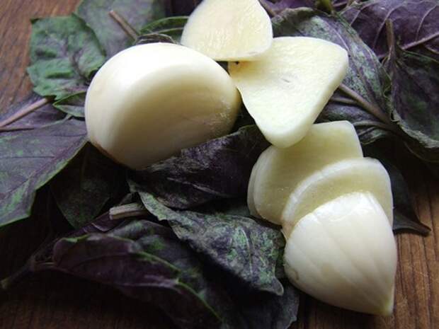 Полезные и загадочные свойства чеснока 12 garlic health 12