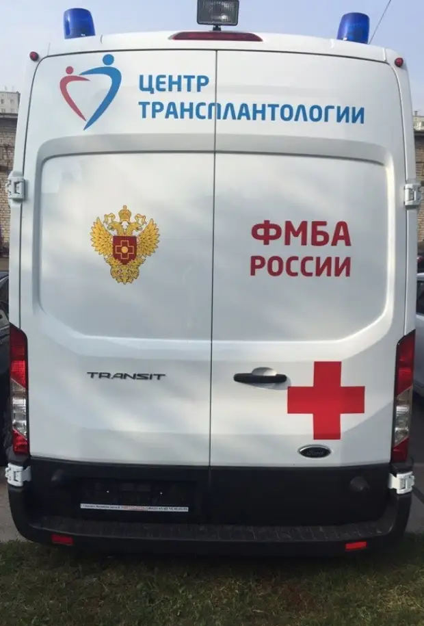 Донорство органов в россии