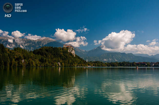 Словения. Крайна. Бледское озеро. (Vlado Ferencic)
