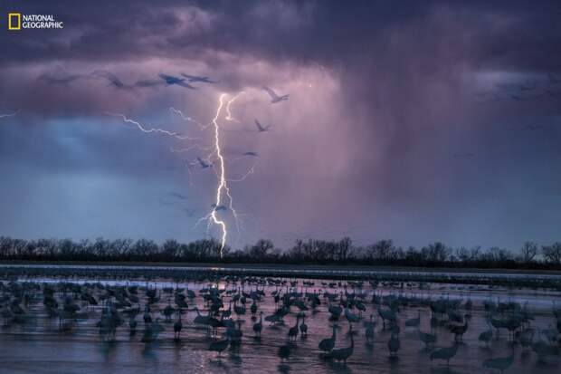 27 самых интересных научных фотографий 2016 года
