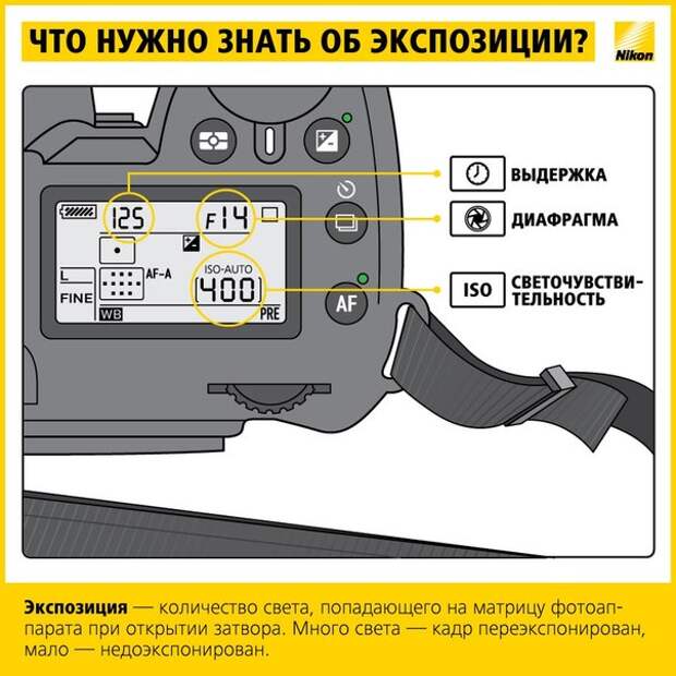 Учимся фотографировать: работа с экспозицией Учимся фотографировать: работа с экспозицией