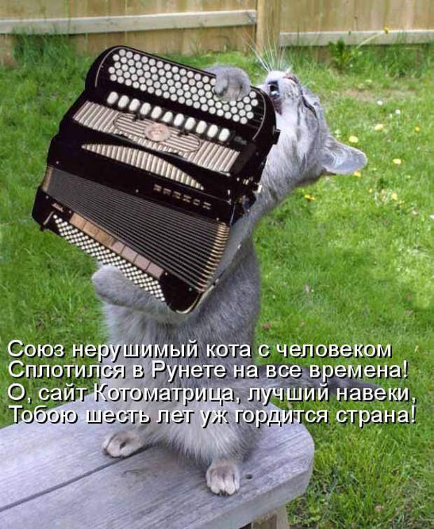 Без кота жизнь не та (27 фото) Без кота жизнь не та (27 фото)
