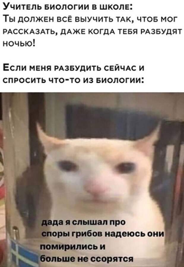 Прикольные и смешные картинки