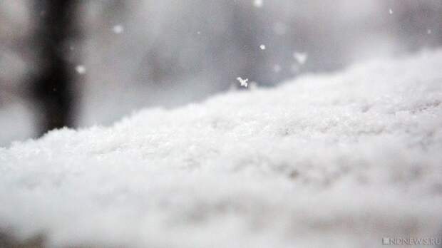 Гидрометцентр обещает Москве зимнюю погоду в первые дни новогодних каникул