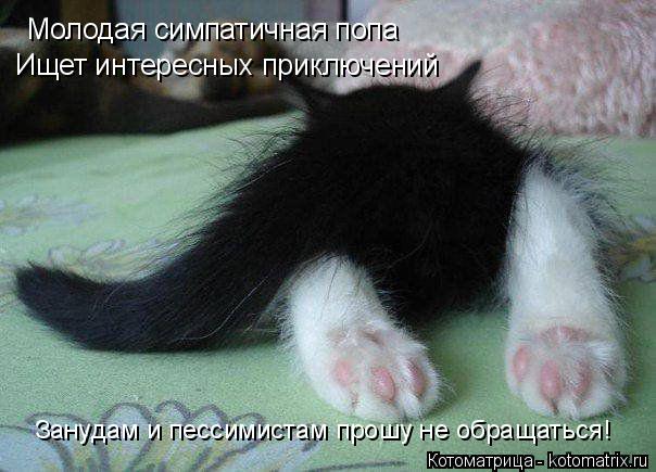 Котоматрица: Молодая симпатичная попа Ищет интересных приключений Занудам и пессимистам прошу не обращаться!