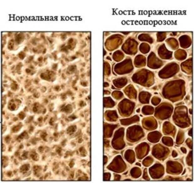 a8a594d06607befefdc7a2c4ce3f9cf7 (471x444, 63Kb)