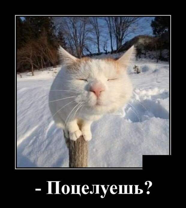 www.vsyako.net