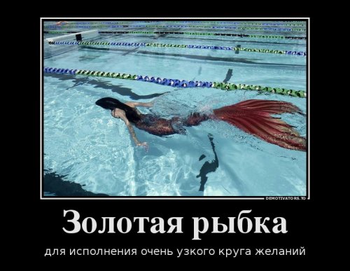 Свежие демотиваторы (19 шт)