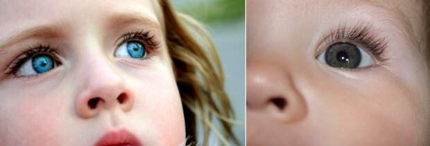 Можно ли предсказать цвет глаз у ребенка?