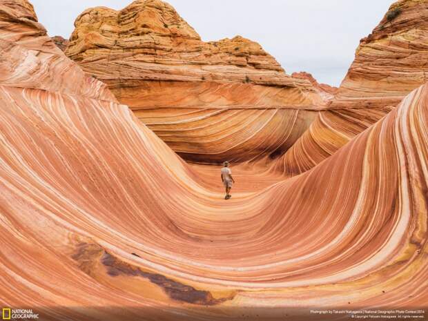 Лучшие фотографии National Geographic 2014 лучшие, природа, фото