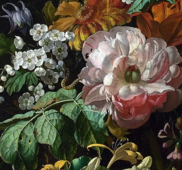  Rachel Ruysch (1664  1750).   