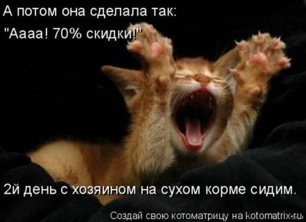 Веселая котоматрица свежак!
