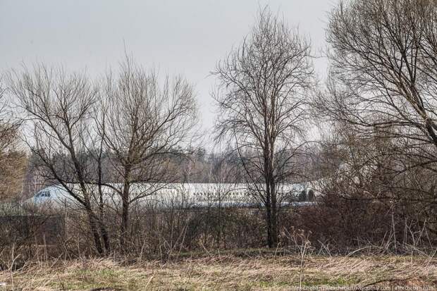 Brezhnevs08