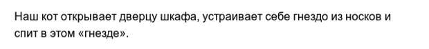 Забавные привычки наших любимых питомцев Забавные привычки наших любимых питомцев