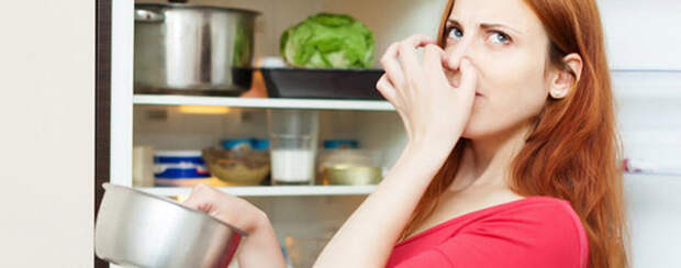 Как убрать неприятный запах из холодильника быстро: чем удалить
