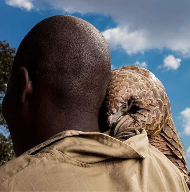 10 самых неповторимых фотографий 2019 года по версии National Geographic