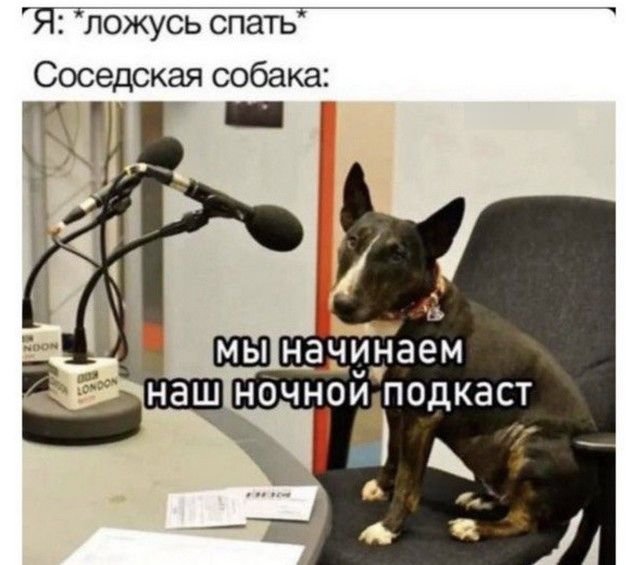Лучшие шутки и мемы из Сети