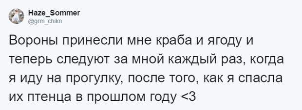 Мужчина четыре года кормил воронью семью, и те принесли ему таинственный дар. Теперь он их… идол?
