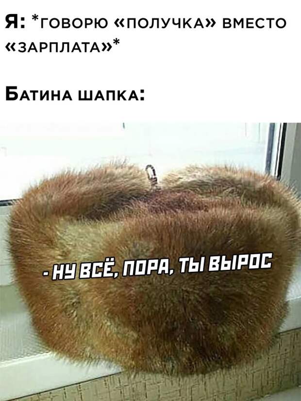 Смешные картинки 9 декабря 2021 года