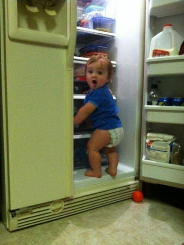 Тайная ревизия холодильника.