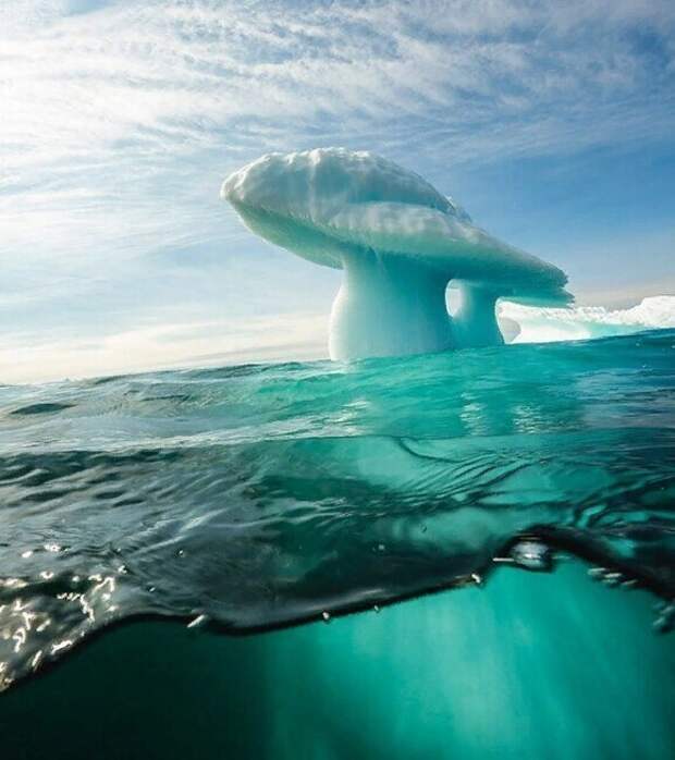 Грибовидный айсберг