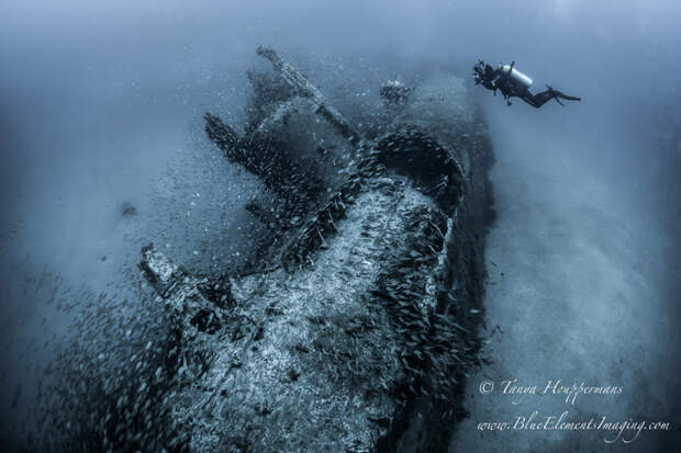 Таня Хоупперманс (Tanya Houppermans) сделала снимок субмарины U-352, которая затонула у берегов Северной Каролины еще во время Второй мировой войны Underwater Photographer of the Year, животные, под водой, фото