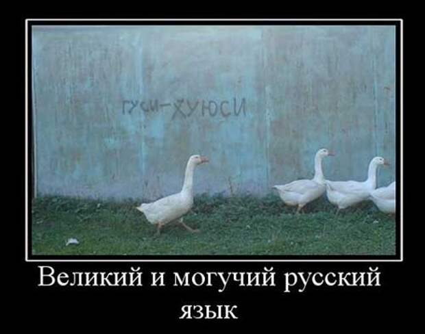 Демотиваторы про русский язык