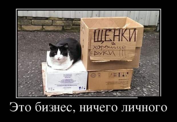 Демотиваторы (30 фото)