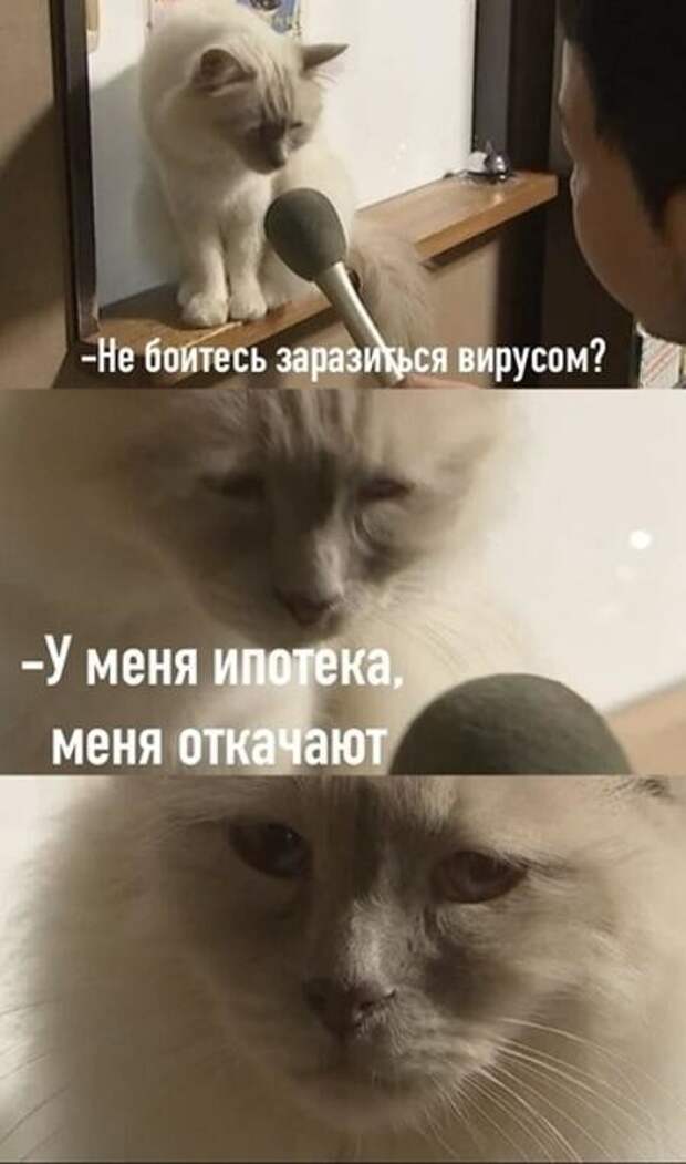 Ипотека и ее реальная цена Ипотека и ее реальная цена