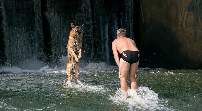 Имитатор