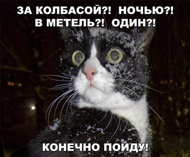 Подборка лучших шуток для настроения