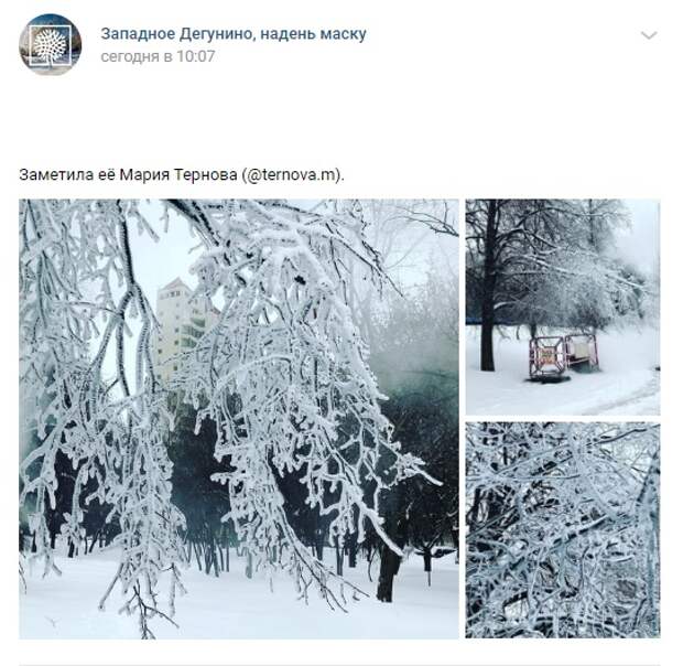 Фото дня: ледяная красота на Дегунинской