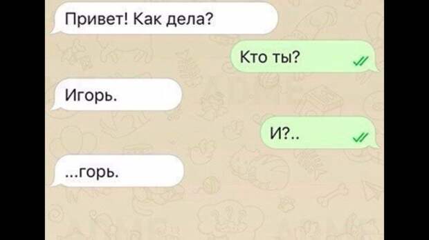 Общение сразу не сложилось кэп, очевидно, прикол, слишком буквально