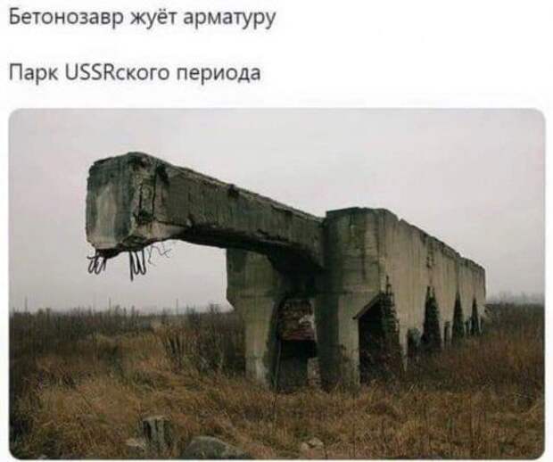 1572379482_kek-5.jpg