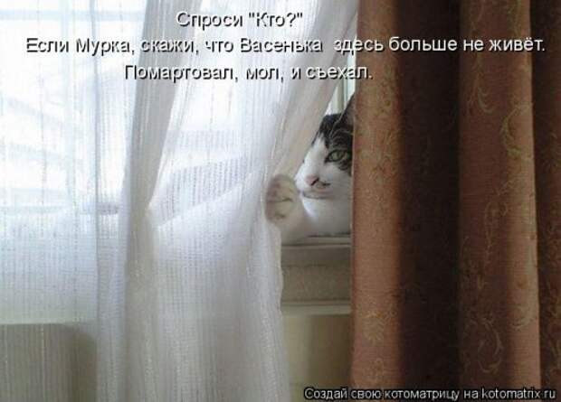 1402585969_kotomatricy-20