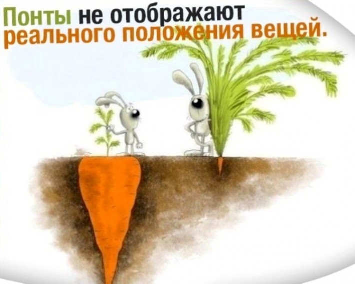 Нужны ли в нашей жизни дешевые понты?