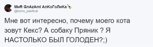 Кто во что горазд, или как правильно назвать своего питомца Кто во что горазд, или как правильно назвать своего питомца