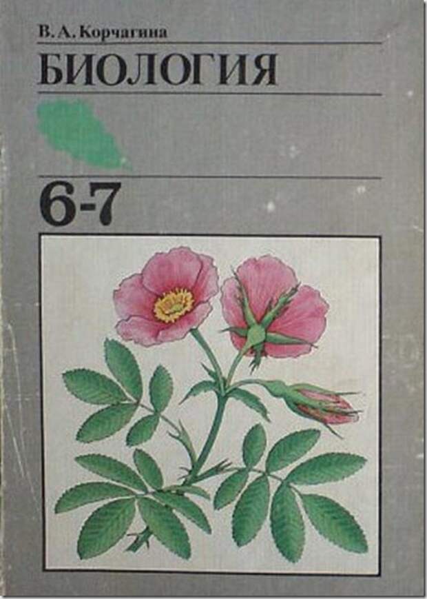 clip_image006