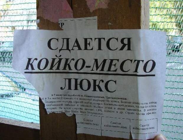 Забавные объявления (30 фото)