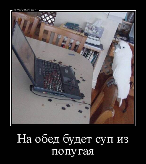 Забавные и прикольные демотиваторы для веселья (10 фото) Забавные и прикольные демотиваторы для веселья (10 фото)