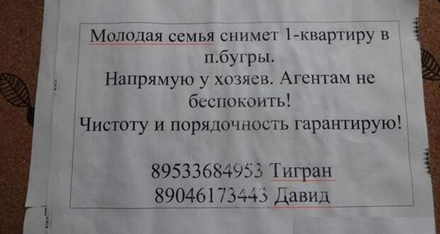 Прикольные картинки Прикольные картинки
