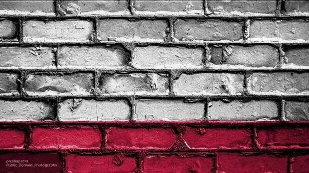 Эксперт оценил слова польского политика о нежелании настаивать на конфронтации Запада и РФ