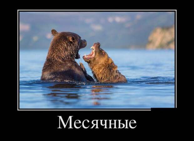 Веселые и смешные демотиваторы (11 фото) Веселые и смешные демотиваторы (11 фото)