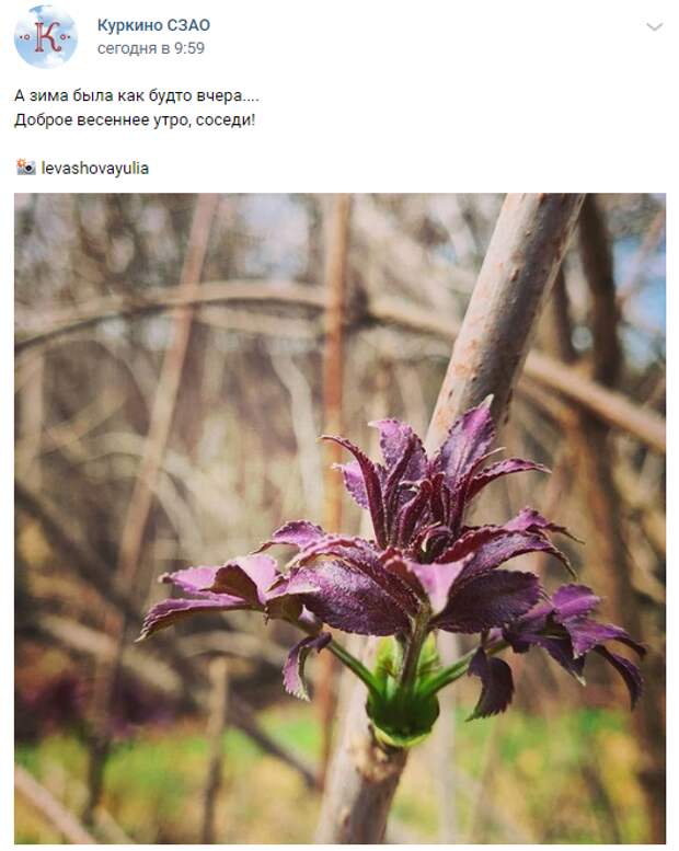 Фото дня: весне — дорогу!