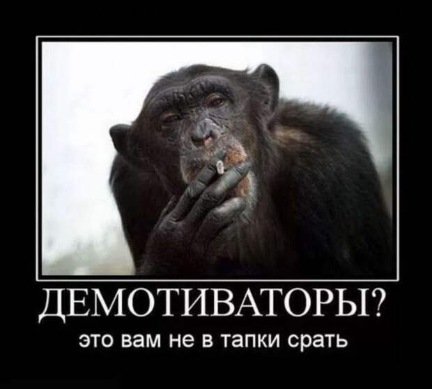 Прикольные демотиваторы с надписями. Подборка chert-poberi-dem-chert-poberi-dem-31530217102020-8 картинка chert-poberi-dem-31530217102020-8